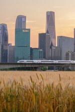 杭州季节限定机位_麦田，高铁，高楼，晚霞_1_cmos指纹录入员_来自小红书网页版.jpg