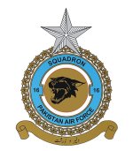 No._16_Squadron_(Black_Panthers)_Pakistan_Air_Force.jpg