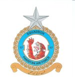 No._17_Squadron_(Tigers)_Pakistan_Air_Force.jpg