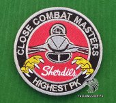 19-Squadron-Sherdils-Patch-1.jpg