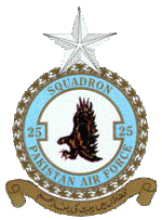 25sqd.gif
