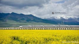 调整大小 851a4886ly1g9jx93giy4j24l82ky1l7.jpg