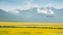 调整大小 851a4886ly1g9jx9dn21cj24io2jie84.jpg