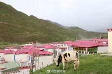 调整大小 8b9e4847gy1gg4ne9trjoj21hc0zk7wh.jpg