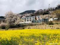 调整大小 70371310gy1gdwulneothj23402c01l1.jpg