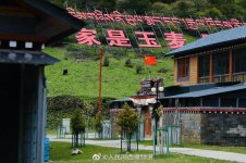 调整大小 007OS5a9gy1grmht2ff47j31900u0wnk.jpg