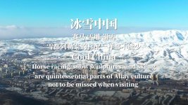 s_1644842169954110785.jpg