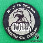 25-Squadron-Night-Strike-Eagles-Patch-1.jpg