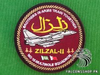 PAF-J-10C-Zilzal-II-Exercise-Patch-1.jpg