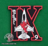 9-Griffins-Squadron-Patch-1.jpg