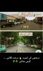 WhatsApp Image 2024-07-02 at 3.43.21 AM.jpeg