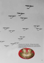 AVIATION HISTORY_Page_037.jpg