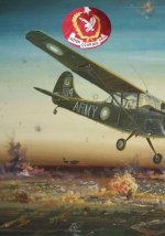 AVIATION HISTORY_Page_090.jpg