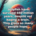 1720132357791.png