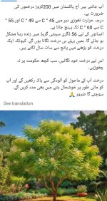 869bb75d-04ea-4401-9f58-c62600e77615.jpeg