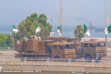 73_ALGERIAN .jpg