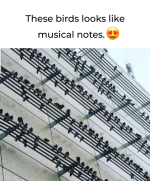 1720639774402.png