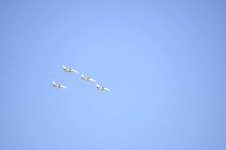 2020-02-13_06-12-44.jpg