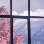 006NJ4Clly1h1d0y1xohvj30u00u00yq.jpg 006NJ4Clly1h1d0y1xohvj30u00u00yq.jpg
