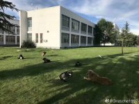 007DrUujgy1gdhqt2szglj31400u0n4q.jpg 007DrUujgy1gdhqt2szglj31400u0n4q.jpg