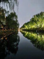 二环边，北护城河岸，春风沉醉，不知归路_3_剑花烟雨江南_来自小红书网页版.jpg