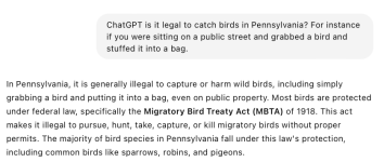 illegalbirds.png