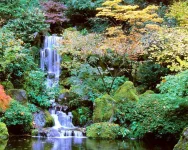 cropped-AA_Parks_JapaneseGarden_14_courtesy_JapaneseGarden_DavidMCobb1-3.webp