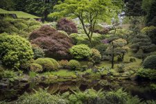 Stolling-Pond-Garden-with-Green-Roof-in-the-Distance.-Photo-by-Bruce-Forster s.jpg