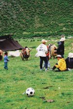 西藏旅居第8年 _ 发现拉萨周边也有牧区⛺_5_谢佬贰的探店日记_来自小红书网页版.jpg