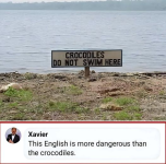 1727910236862.png