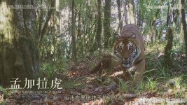 调整大小 8b4e7a29gy1hhq9p2tya2j21hc0u04qq.jpg