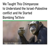 1728300273279.png 1728300273279.png