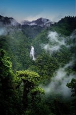 西藏墨脱——莲花圣地与安妮宝贝_1_西藏大院随缘作家_来自小红书网页版.jpg