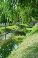 西藏农牧学院校园景色_3_随风起_来自小红书网页版.jpg