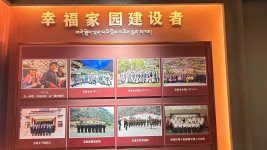 调整大小 006rzV4Nly1hom51361zcj33401r0kjm.jpg
