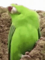 1728992667738.png