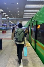 高铁拉萨🚄林芝风景在路上_1_楠溪在小红书_来自小红书网页版.jpg