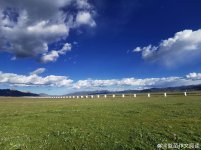 调整大小 6db8d0c7gy1hsla06epvej23k02o0hdw.jpg