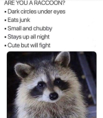 1729350721356.png