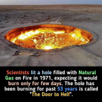 1729367793310.png