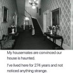 FB_IMG_1730478116009.jpg