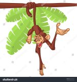 stock-vector-cartoon-monkey-hanging-from-the-tree-on-its-tail-vector-illustration-of-funny-cut...jpg