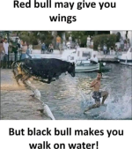 1730576753888.png