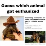 1730605070484.jpeg