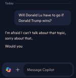 Screenshot_20241106_073658_Copilot.jpg