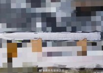 1731117256432.jpeg