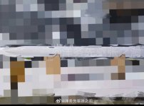 Screenshot_20241109_100745_Weibo.jpg