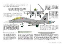 J-15D电战机从双航母编队上空飞过_2_鼎盛huitong_来自小红书网页版.jpg J-15D电战机从双航母编队上空飞过_2_鼎盛huitong_来自小红书网页版.jpg
