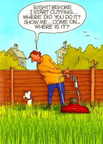 1731450806274.png