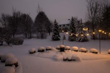 winter-700326.jpg